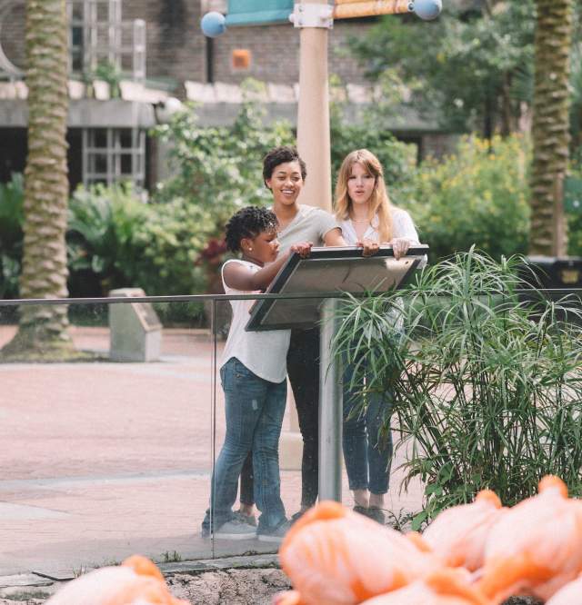 Audubon Zoo
