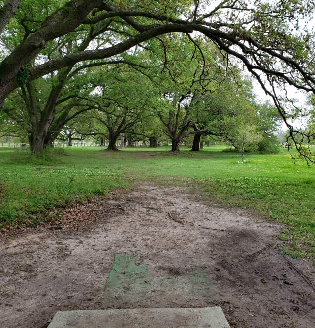 City Park Disc Golf Course - Hole 2 Teepad