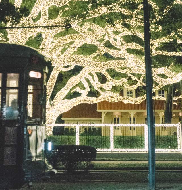 Christmas Lights on St. Charles Avenue