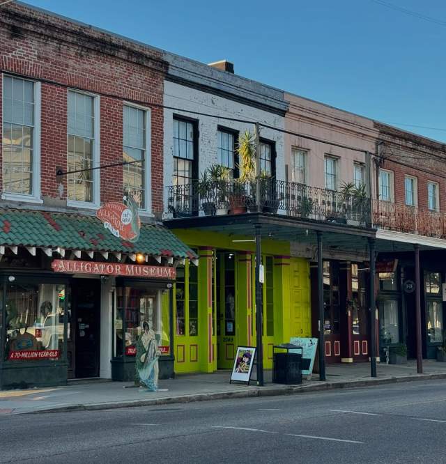 Shops Along Lower Magazine Street