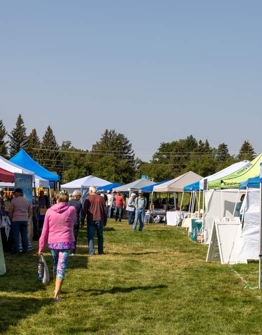 Art in the Park 2025 at Mike Cedar Park