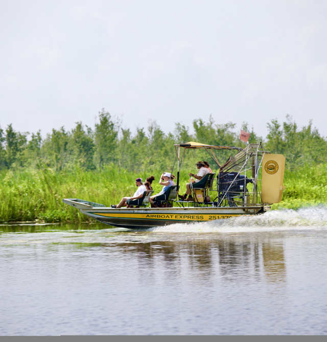 Family Fun - Paddle Boat – Hobby Express Inc.