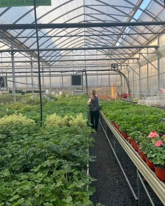 Why I Love Loudoun: James Knowles & His Green Thumb