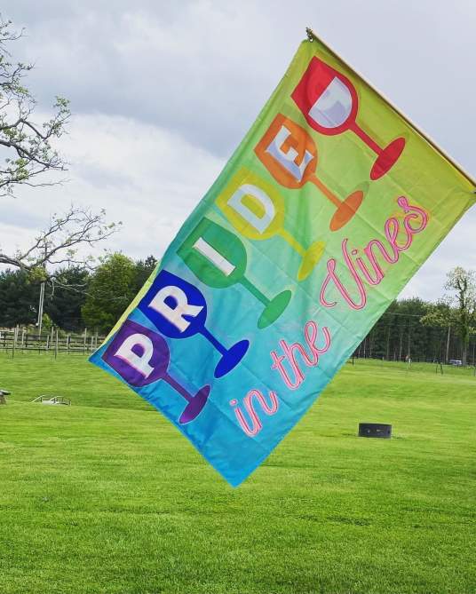 pride in the vines flag