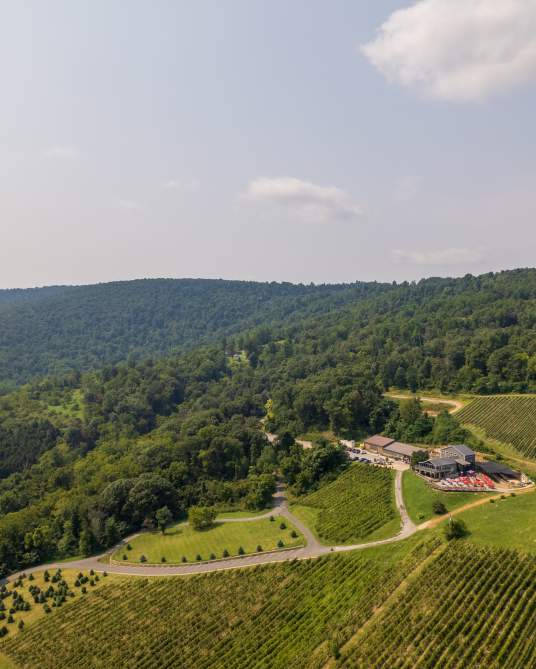 Aerial of Bluemont Vineyard's tasting room and vine rows set against the forested Blue Ridge hills in Bluemont, Virginia