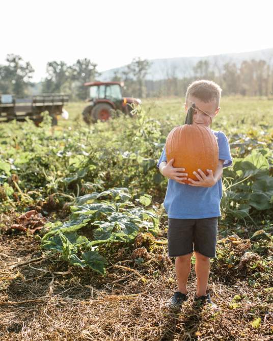 Top 5 Things to Do in Loudoun This Fall