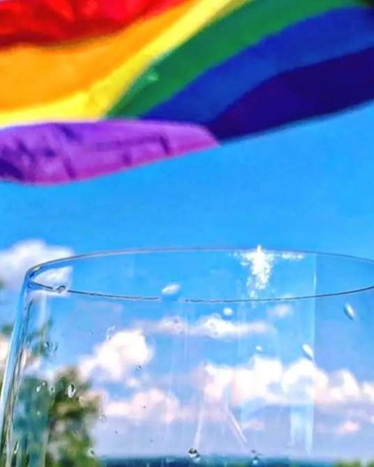 Rainbow Pride flag flying above grapevine rows at a Loudoun County winery, Pride in the Vines logo