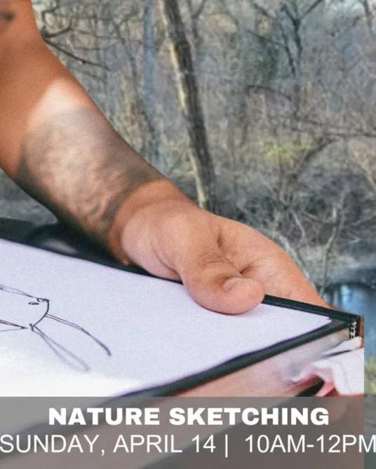 Nature Sketching for Adults