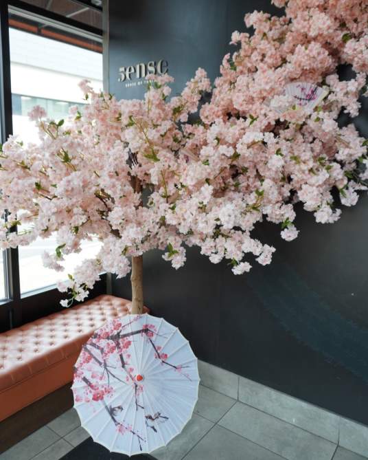 Bloom at Sense of Thai - Ashburn