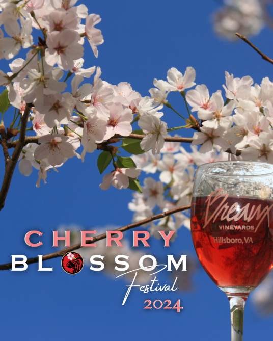 Cherry Blossom Festival Kick-Off