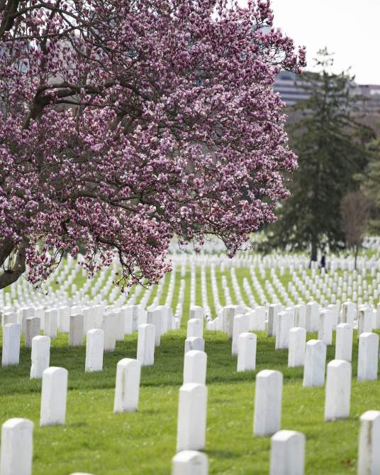 Arlington National Cemetery Spring Horticulture Tours