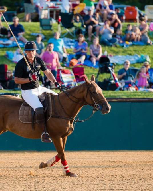 Polo in the Park