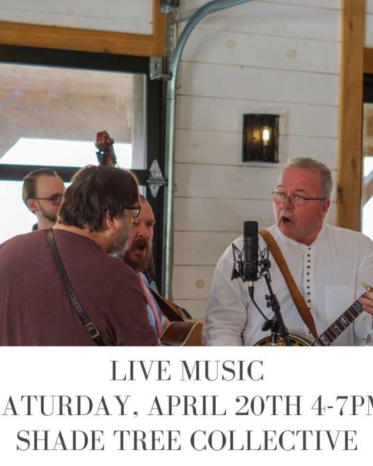 Live Music by Shade Tree Collective
