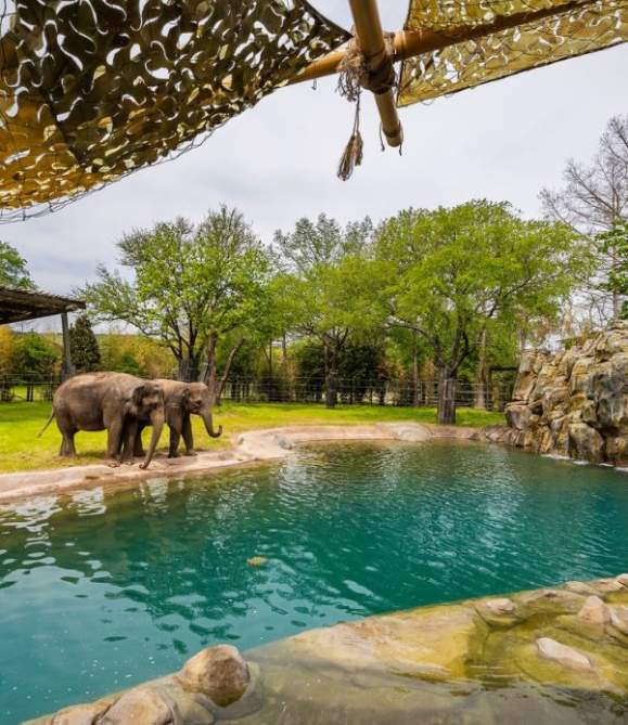 Spend A Day At The Fort Worth Zoo