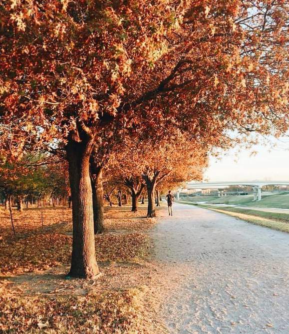 Fall Fun in Fort Worth