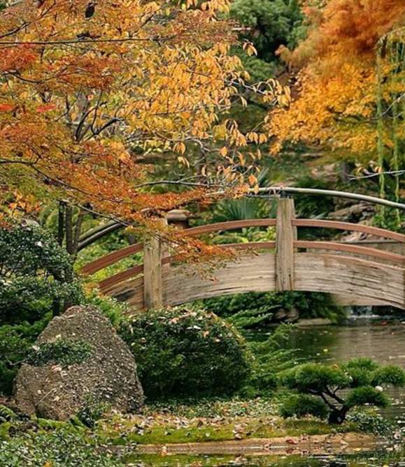 Where To Find Fall Foliage in Fort Worth