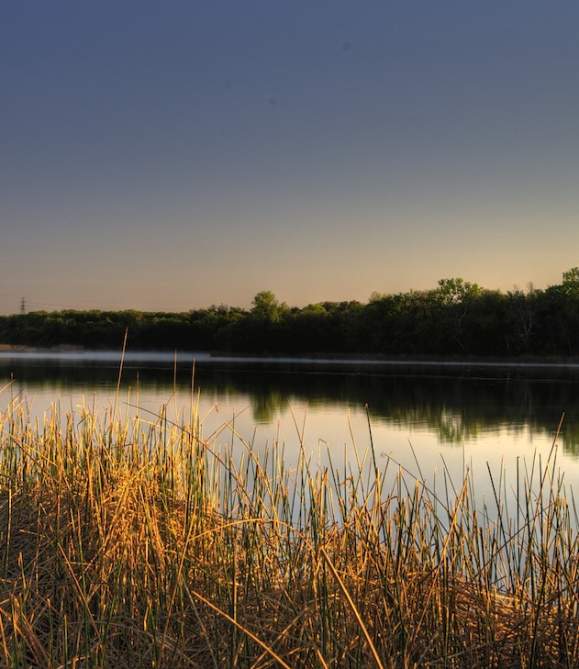 Hidden Natural Elements of Fort Worth