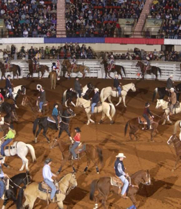 How to Rodeo: Experience the Fort Worth Stock Show & Rodeo