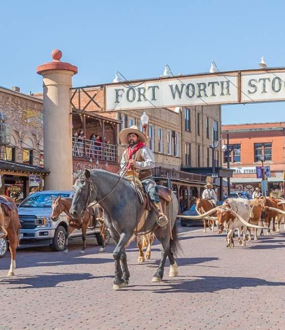 Meet the Fort Worth Herd