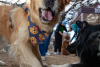 2026-02-07_GiG_Bob-Krugmire (178)