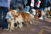 2026-02-07_GiG_Bob-Krugmire (185)