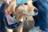 2026-02-07_GiG_Bob-Krugmire (205)