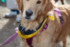 2026-02-07_GiG_Bob-Krugmire (243)