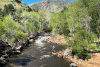 Clear Creek in Spring