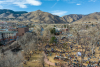 GabeRovick_GoldensInGolden_DRONE-17