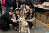 People posing with golden retrievers at Goldens in Golden 2025 in downtown Golden CO