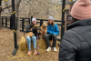 A couple with their two golden retrievers under the Golden Hotel's welcome arch photo booth in downtown Golden CO