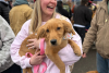 A golden retriever puppy and owner at Goldens in Golden in downtown Golden CO 2025
