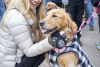 Rocky Mountain Pet Portraits a golden retriever and their human at goldens in golden event 2025
