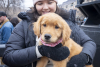 Rocky Mountain Pet Portraits a golden retriever puppy and their human
