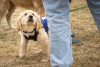 Rocky Mountain Pet Portraits 2-8-2025 16