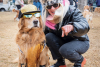 A golden retriever dressed up like a rock star with a costumed owner