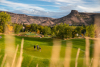 Golf Fossil Trace