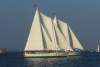 Schooner Woodwind: Annapolis Sailing Cruises