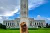 State Capitol Dog-Friendly
