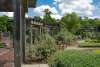 Gardens at Tyrrell Park