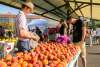 bloomington farmers market