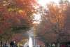 Showalter Fountain in Fall