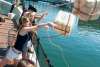 Boston Tea Party Ship