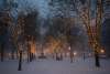 Commonwealth Avenue Mall in winter_1502-2