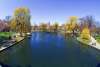 Lagoon in the Public Garden STOCK