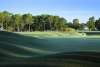 Photo Courtesy of Sea Trail Resort Rees Jones Course