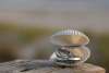 nc-beach-wedding-details-wedding-bands