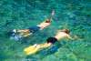 Catalina Island Snorkeling