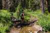 Fooses Creek - Colorado Trail