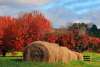 Orange County Fall Scene.JPG